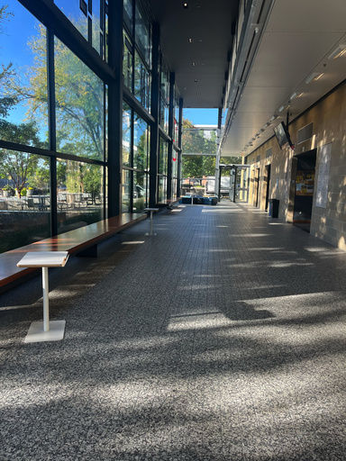 The first floor of the Blank Honors Center, contributed by Kendall Doerr. Sunlight streams in through the front windows on a quiet, Saturday afternoon.