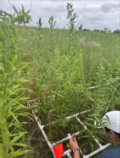 2025 Winter Newsletter